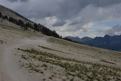 DSC_3091 (Large).JPG